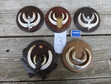 5 Sätze Keilerzähne /