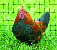 Geflügelnetz Hundezaun grün - Höhe 105cm, Wählbare Längen: 15m, 25m oder 50m