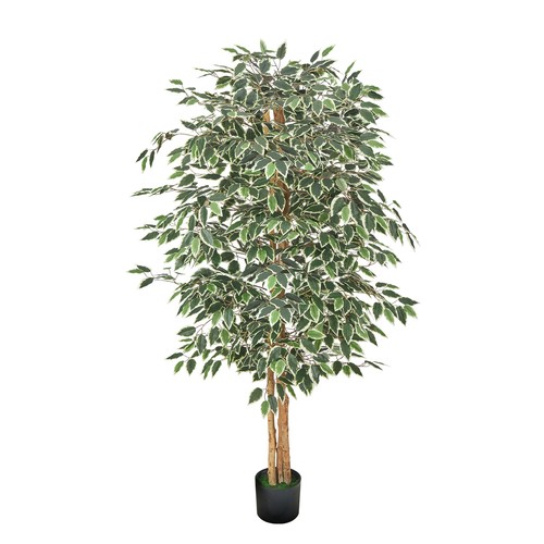 6ft künstlicher ficus - 6ft,