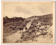 Fotografie Legion Etrangere / Fremdenlegion, Soldaten machen Rast im Felde nach 
