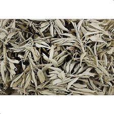 Weißer Salbei lose White Sage