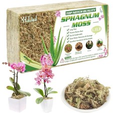 Sphagnum Moos 500g Pflanzen