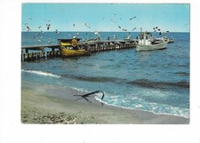 S165 AK Fischer Fischerboote an der Ostsee   gelaufen 1988