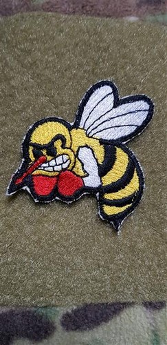 Angry wasp hornet fun - wasp,