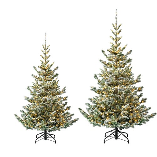 Evergreen weihnachtsbaum - evergreen,