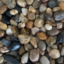 FLUSSKIESEL Kieselsteine KLEIN gemischt 5-20mm in Dose. kleine runde Steine 800g