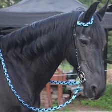 Unikat Leder EINOHRTRENSE mit Strass Cob Vollblut Trense + Zügel