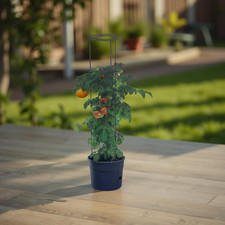 Prosperplast 12L Pflanzkübel - Anthrazit