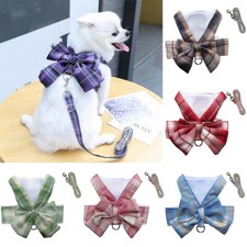 Geschirr- Und Leinenset Für