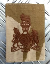 British Army Desert Camo