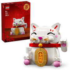 LEGO® Iconic 40813