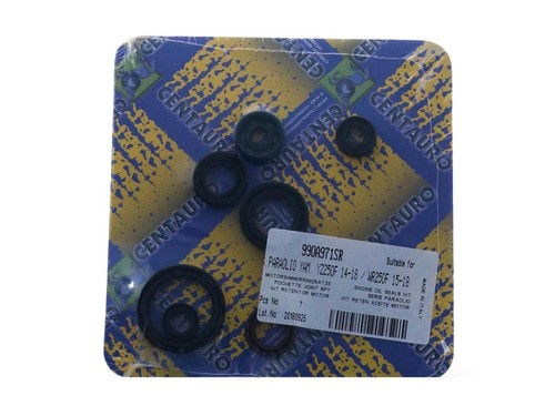 Centauro motor wellendichtring - motor,