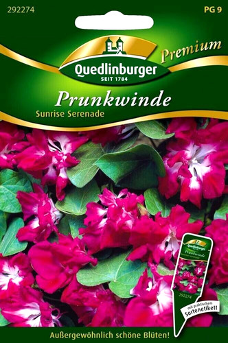 Prunkwinde sunrise serenade - serenade,