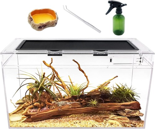 Terrarium komplettset - terrarium,