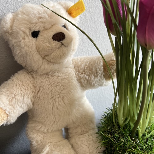 Original steiff teddybär - original,