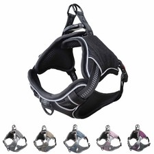 Hundegeschirr gepolstert