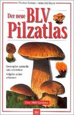 Der neue BLV Pilzatlas: Speisepilze sammeln und zubereit... | Buch | Zustand gut