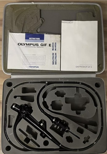 Olympus gif type e - gif,