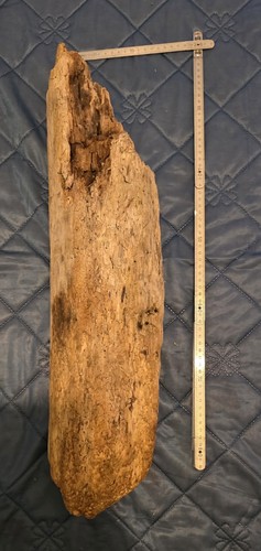 Treibholz schwemmholz - xl,