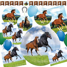 PFERD PONY GEBURTSTAG Geschirr