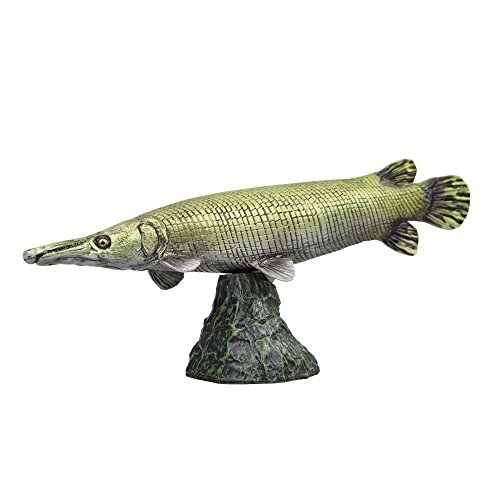 Favorite fish figure - fish,