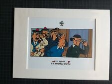 Tim und Struppi, tintin, Bild