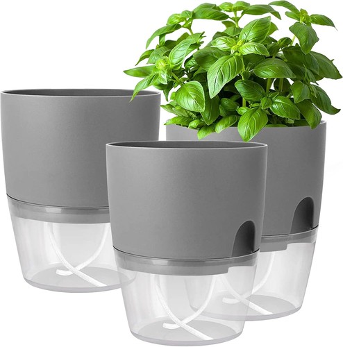 Kräutertopf set - kräutertopf,