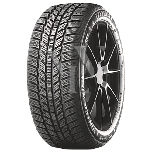 Winterreifen evergreen ew62 - winterreifen,