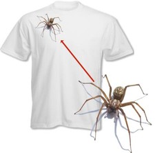 Spinne Maglietta Halloween