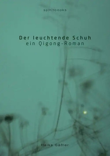 Der leuchtende schuh - schuh, zustand