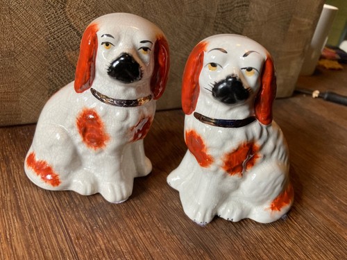 Spaniels staffordshire dogs - staffordshire,