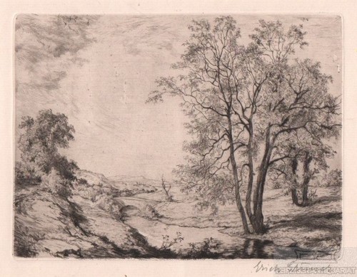 Radierung weide bach - weide, am