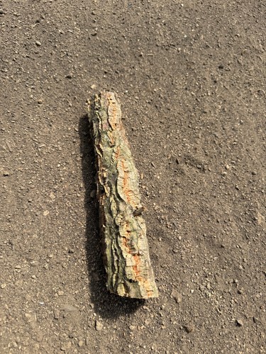 Naturkork sitzstange papagei - naturkork,