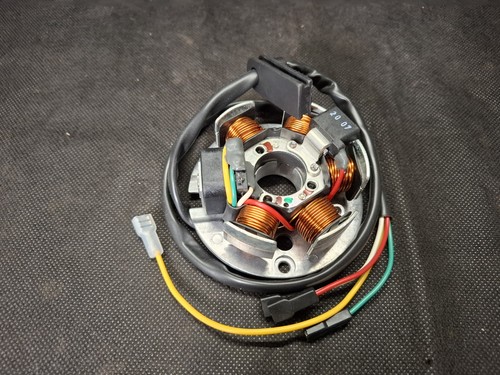 Kompletter stator ducati - kompletter,