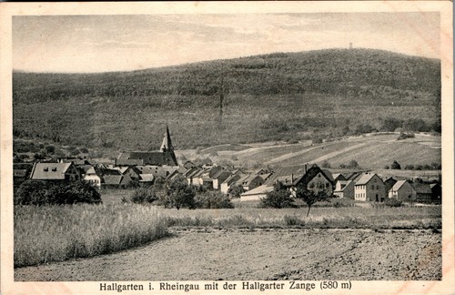 Gruss aus hallgarten - gruss,