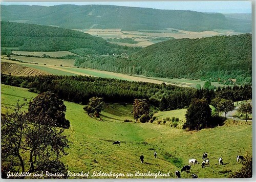 10248117 3251 lichtenhagen - 3251,