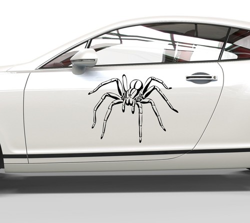 Autoaufkleber spinne - autoaufkleber,