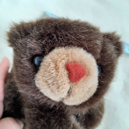 Bärchen brauner bär frosch - bärchen,