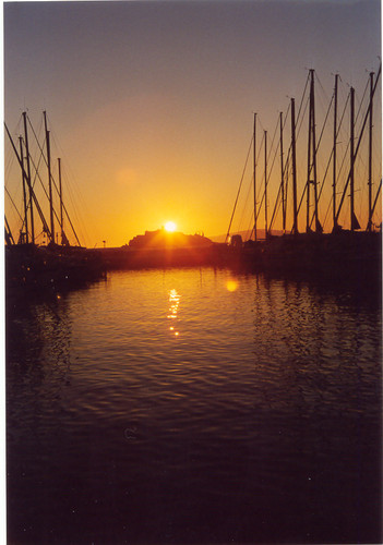 Segelboot seahorse mit festem - mit,