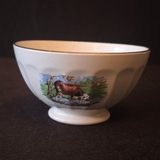 (26) Alter Bol , Café au