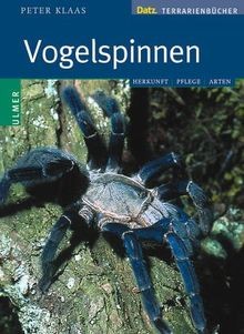 Vogelspinnen terrarium - vogelspinnen,