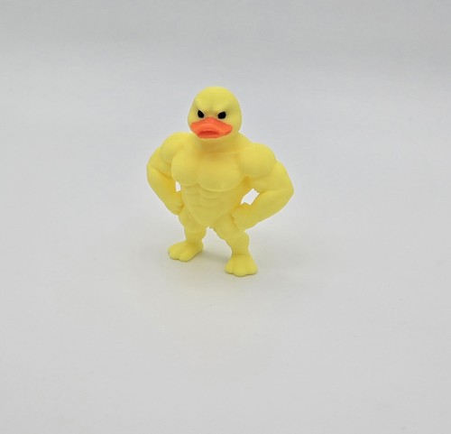 Lustige muskel ente - ente, figur