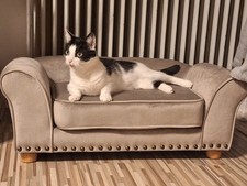 Sofa Couch für kleine Hunde