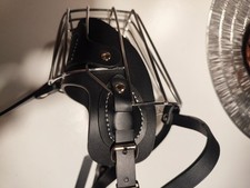 Stabiler Unbenutzter Hund