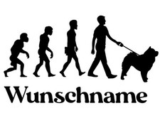 Evolution Hund Chow Chow -