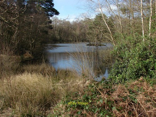 Foto 12x8 heideteich simons - heideteich,,