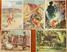 SANELLA-SAMMEL-BILDER-11 verschiedene-Afrika+Mittel+Südamerika+China/Tibet/Japan