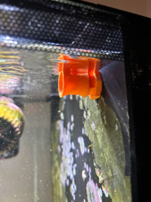 Fluval Evo 52L und Spec 60L