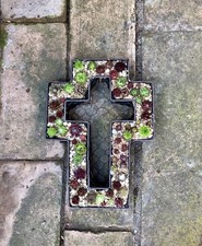 Mehrjährige - Winterharte