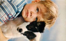 Ansichtskarte; Hund, mit einem